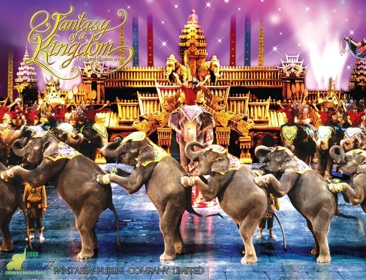 การแสดงช้าง