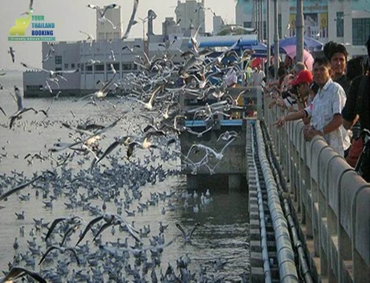 สถานตากอากาศบางปู