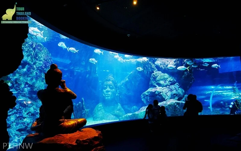 SEA LIFE Bangkok Ocean World ซีไลฟ์ แบงคอก สยามโอเชี่ยนเวิร์ล