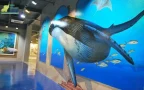 อาร์ต อินพาราได พัทยา art in paradise