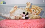 อาร์ต อินพาราได พัทยา art in paradise