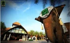 chiang mai night safari เชียงใหม่ซาฟารี สวนสัตว์เปิด