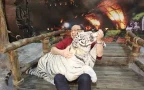 chiang mai night safari เชียงใหม่ซาฟารี สวนสัตว์เปิด