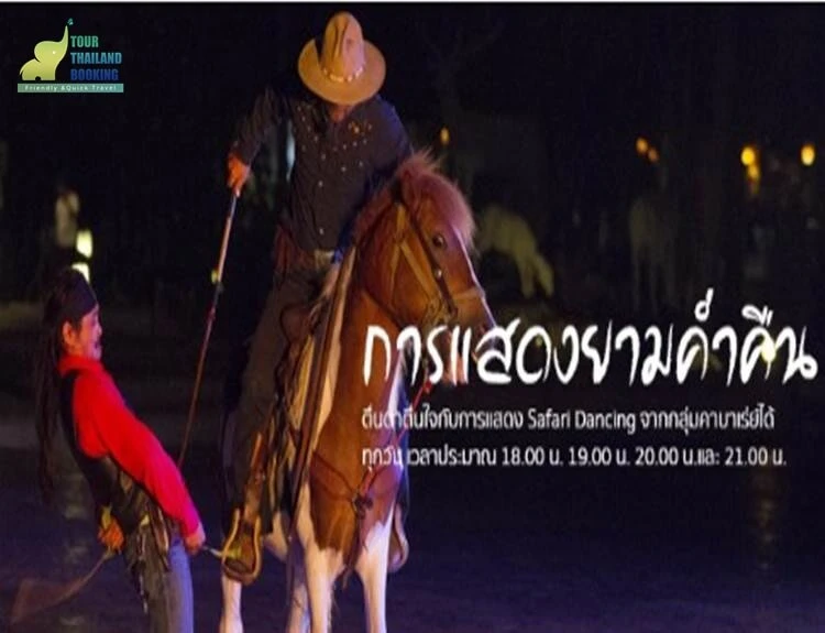 การแสดงยามค่ำคืน