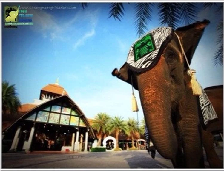 เชียงใหม่ ไนท์ ซาฟารี