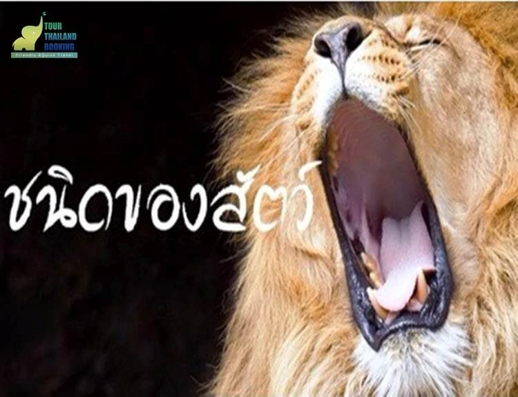 ไนท์ซาฟารี , เชียงใหม่ไนท์ซาฟารี