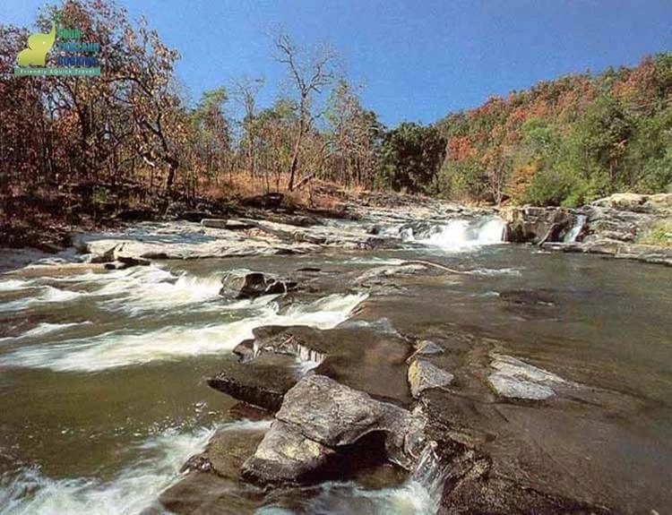 อุทยานแห่งชาติดอยสุเทพ