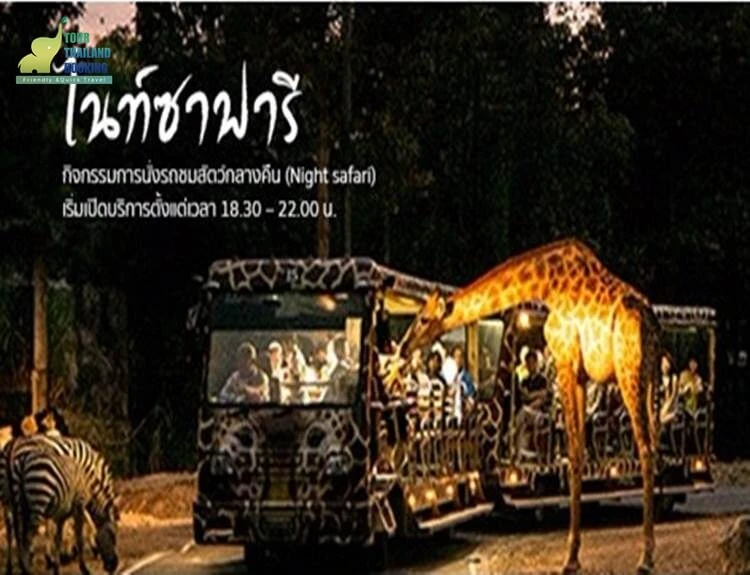 ไนท์ซาฟารี