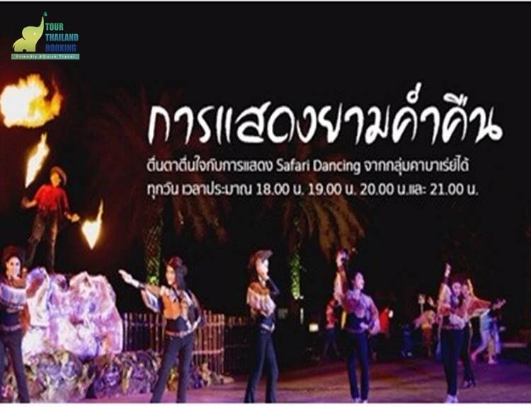 การแสดงยามค่ำคืน