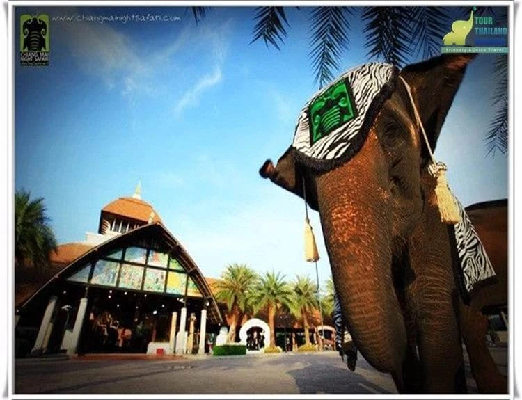 เชียงใหม่ไนท์ซาฟารี