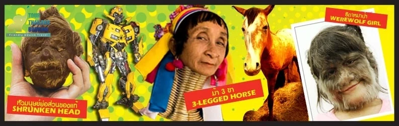 ริบลีส์ พัทยา