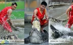 tiger zoo สวนเสือศรีราชา การแสดงเสือ