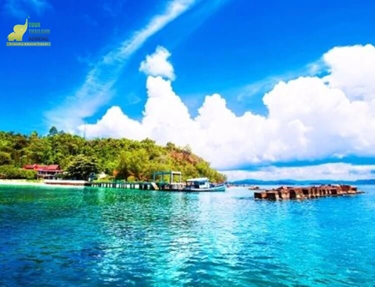 ภูเก็ตเกาะไม้ท่อน