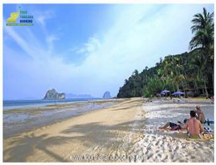 ตรัง