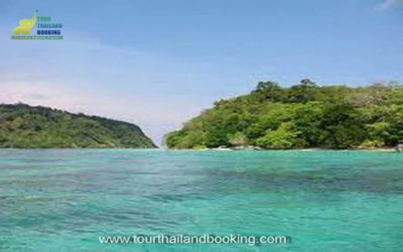 ตรัง