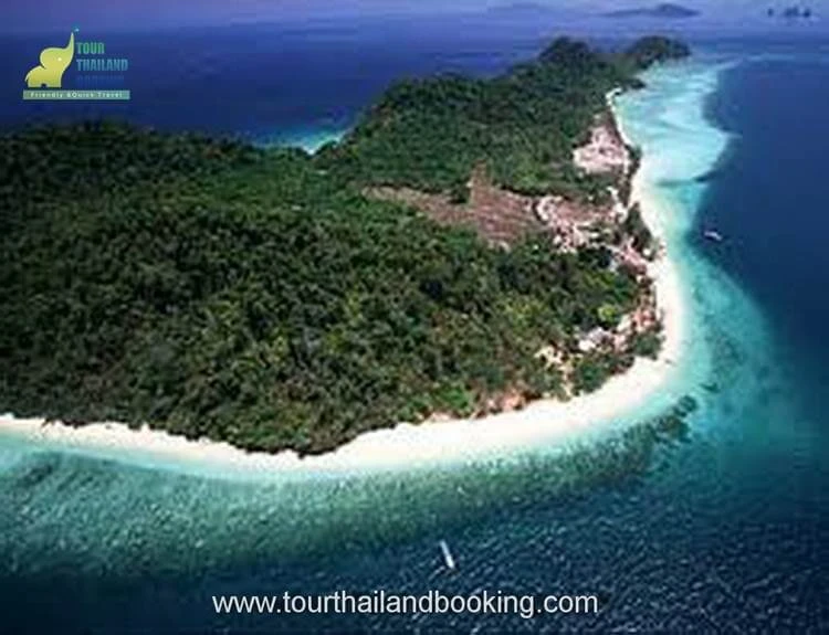 ตรัง