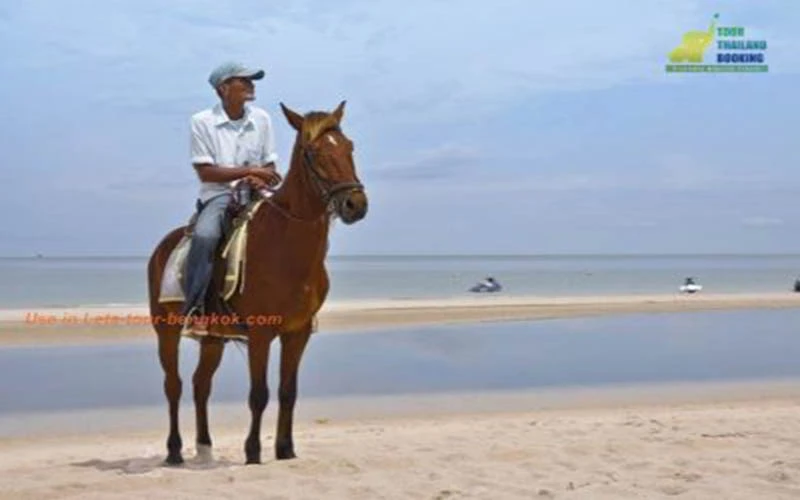 ขี่ม้าบนชายหาด