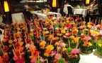 chaophraya cuirse loykrathong ลอยกระทง เจ้าพระยาครูยส์