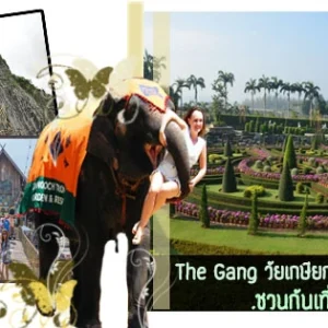 ช้าง; ป่าไม้; วัด; ที่ท่องเที่ยวพัทยา; ภูเขา; ตลาดน้ำ; ท้องฟ้า;