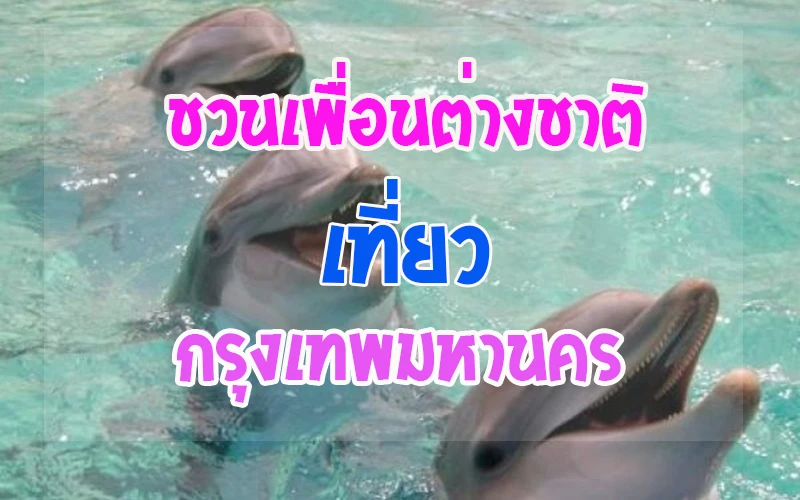 โชว์ปลาโลมา ซาฟารีเวิร์ล