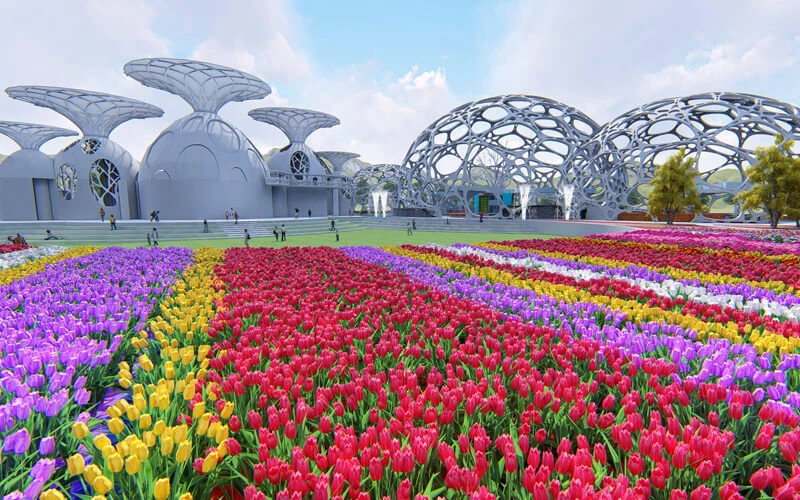 สวนดอก