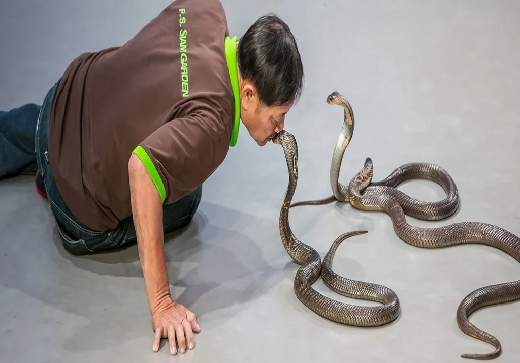 siamserpentarium