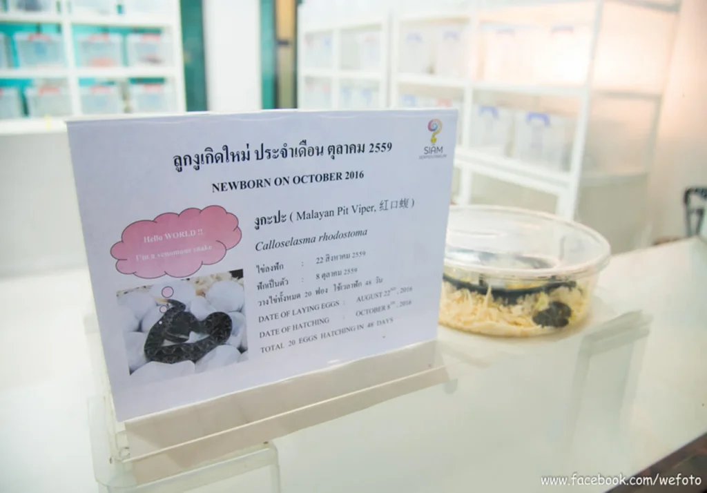 siamserpentarium