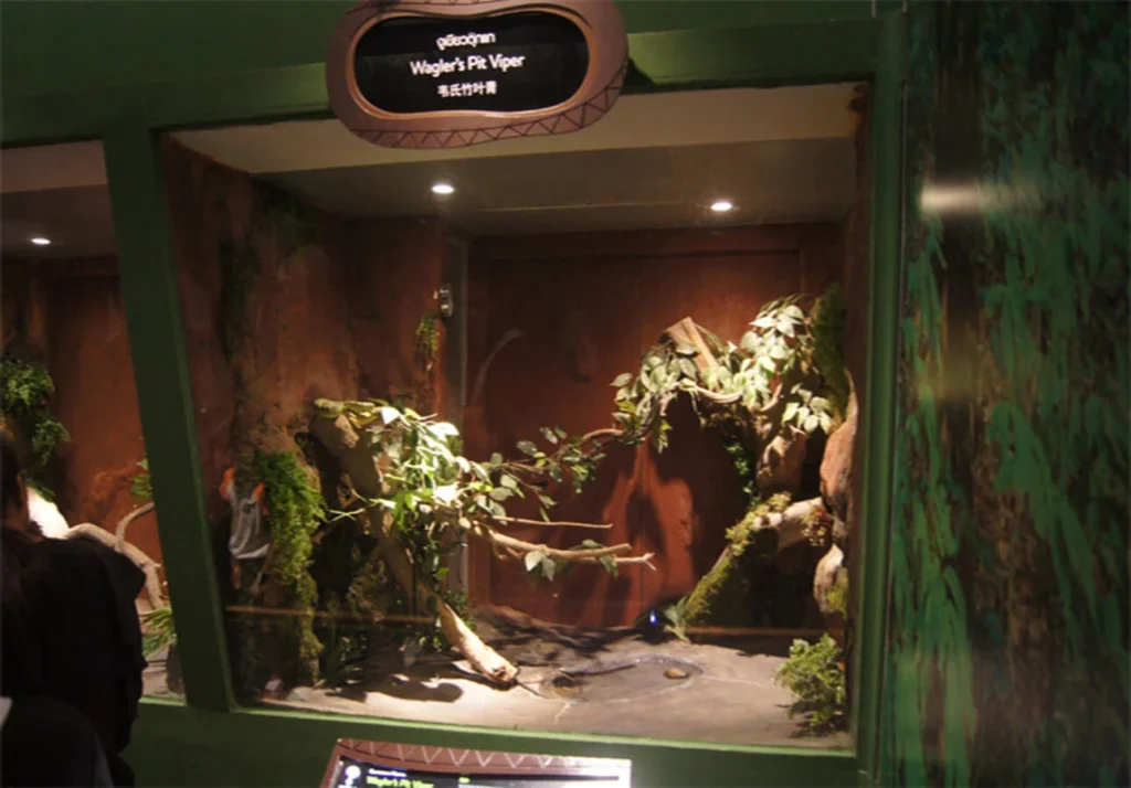 siamserpentarium