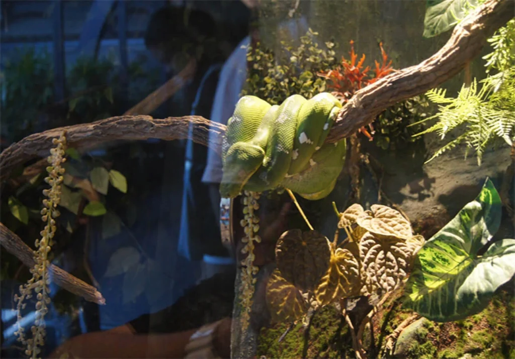 siamserpentarium