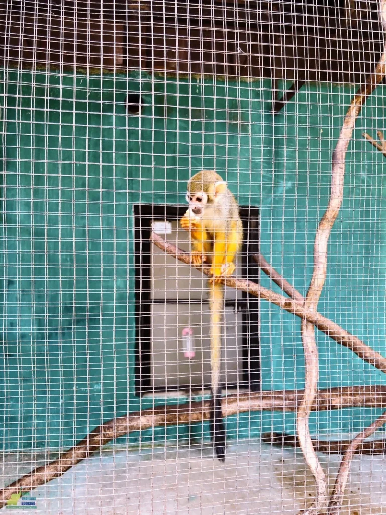 exotic park เขาใหญ่