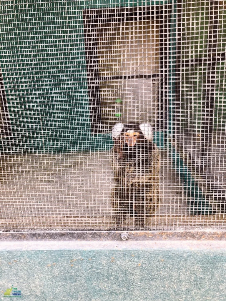 exotic park เขาใหญ่